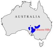 Ediakaran Hills, Australia. Credit: Queens University